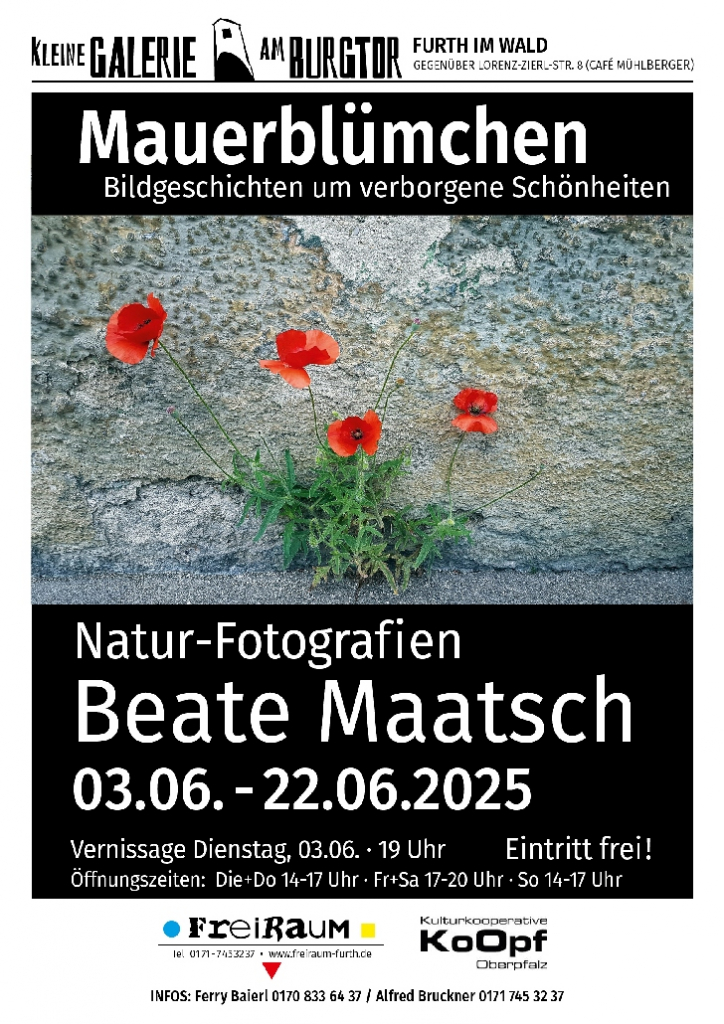 2025-06-03_Ausstellung_Furth_im_Wald